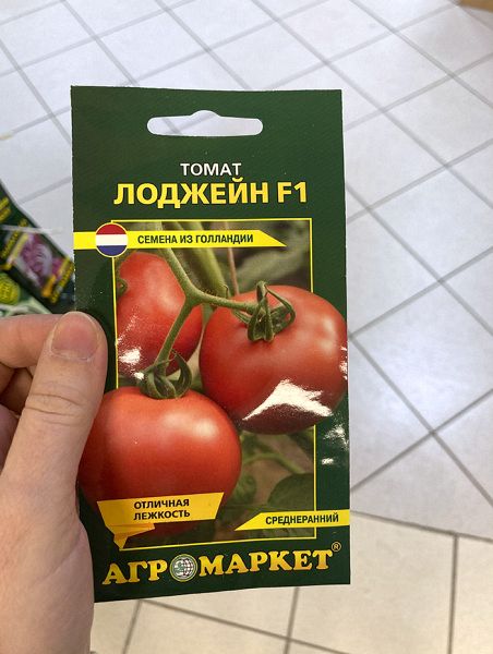 томат Лоджейн F1